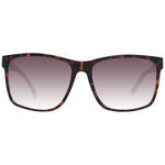 Guess Brown Men Sunglass