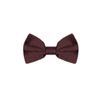 Dolce & Gabbana Burgundy Silk Bowty