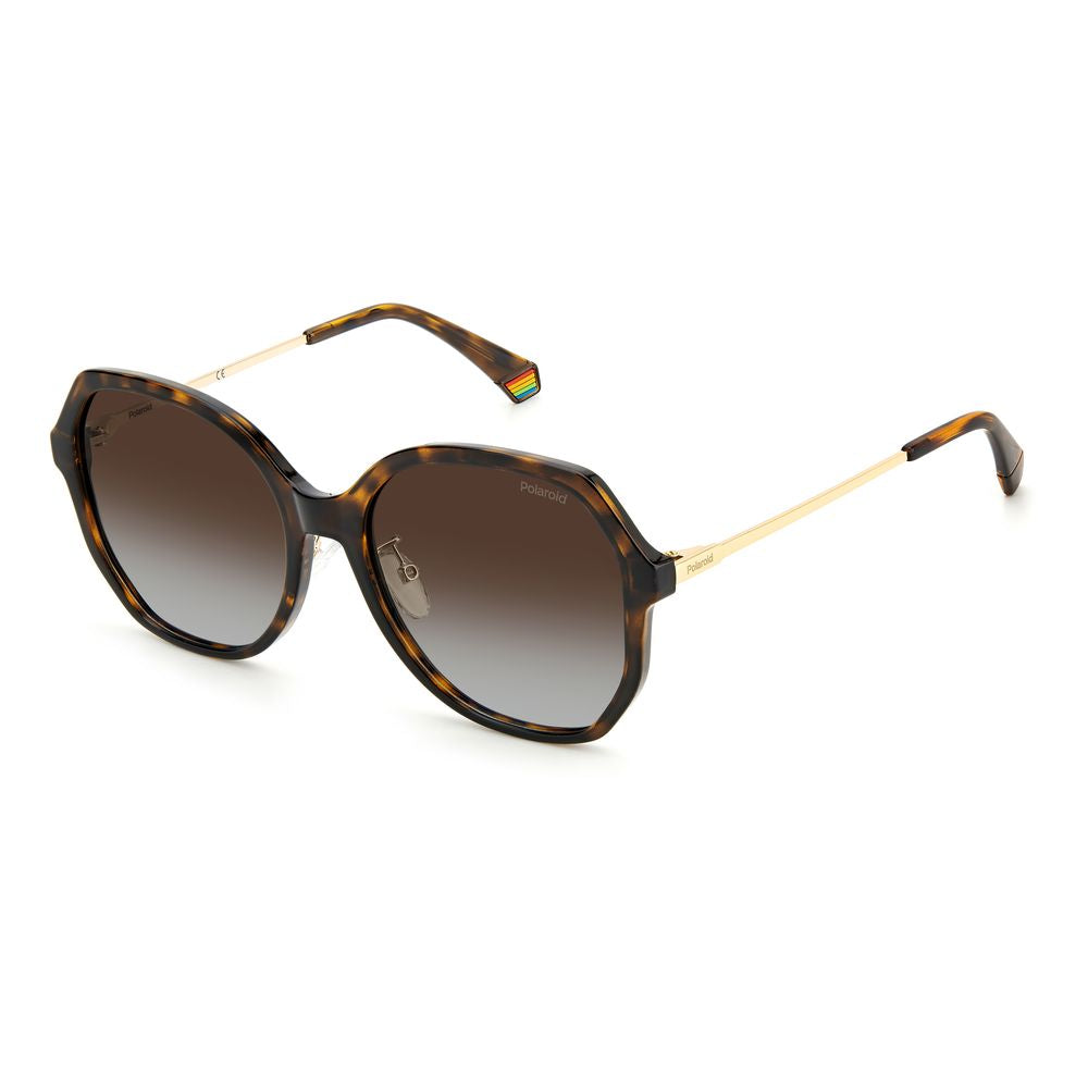 Polaroid Brown Plastic Sunglasses